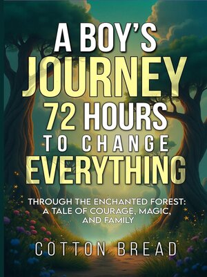 cover image of A Boy's Journey 72 Hours to Change Everything